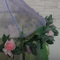 Mosquitera colgante duradera para bebé de hadas florales de estilo fresco 2020